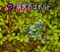 test-zin01.jpg
